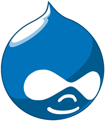 SERVIZI PROFESSIONALI DRUPAL